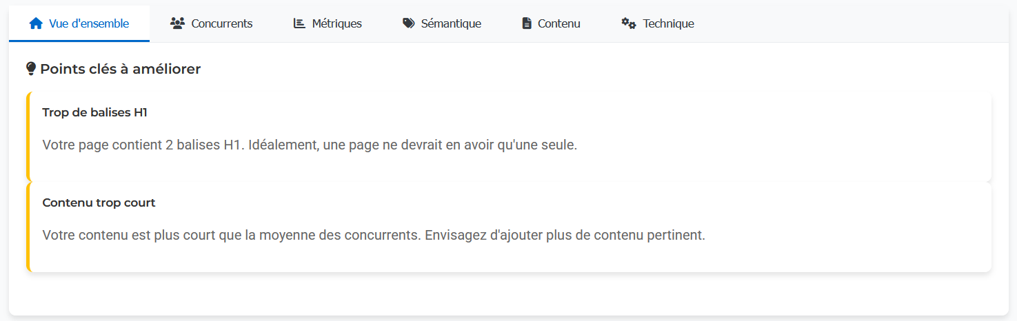 SEO Analyzer : Vue d'ensemble